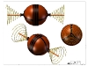 body-with-rod-and-spirals