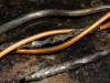 almost-scientific-the-neuron-chamber-fabrication-15-of-63