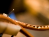 almost-scientific-the-neuron-chamber-fabrication-7-of-63