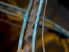 almost-scientific-the-neuron-chambe-4-of-14