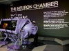 almost-scientific-the-neuron-chamber-14-of-14