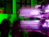 the_uira_engine_almost_scientific-7